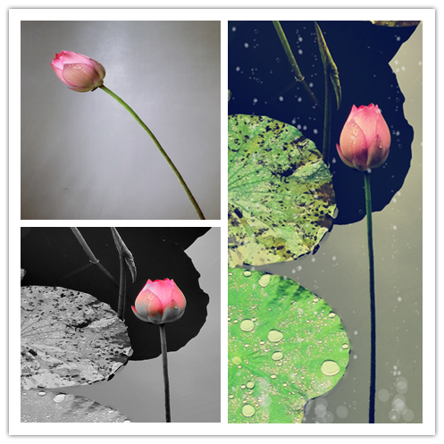 威廉希尔中文官网