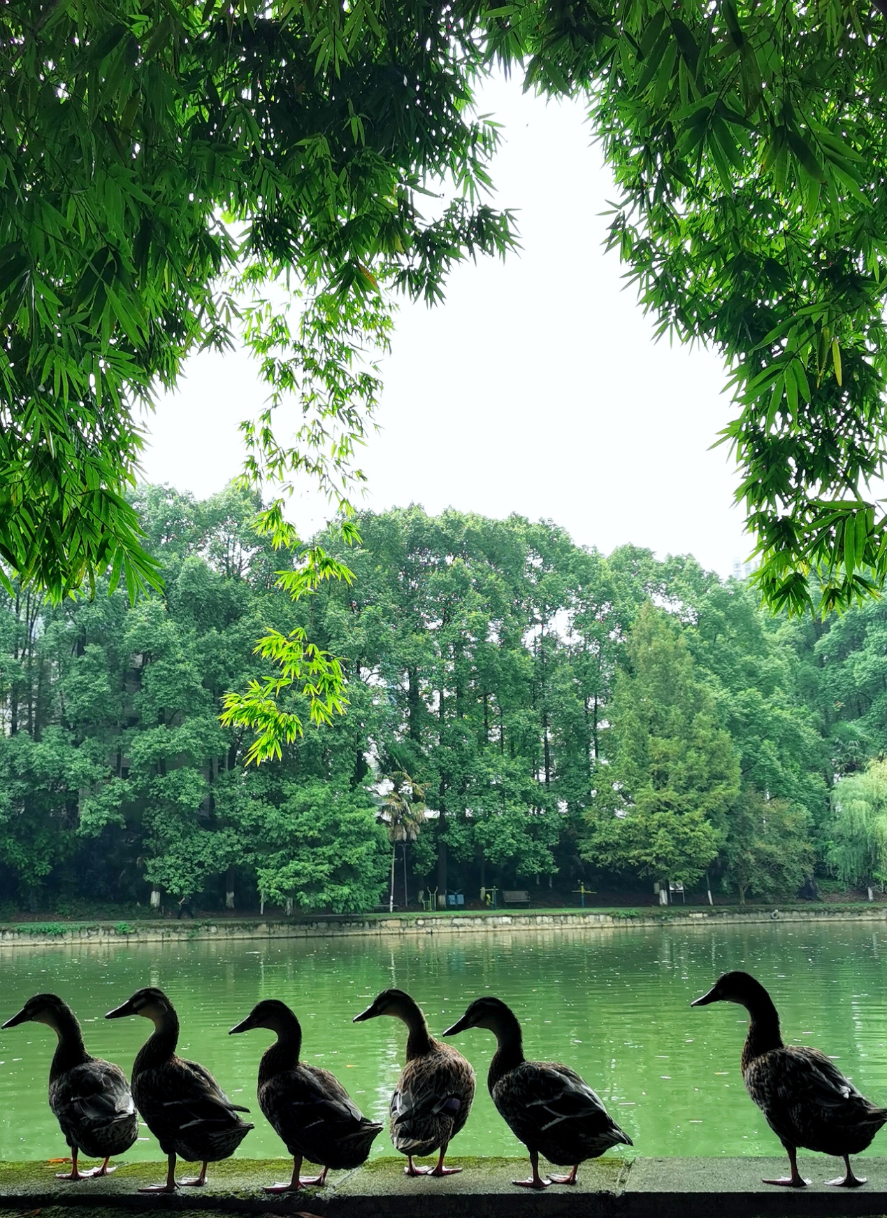 威廉希尔中文官网