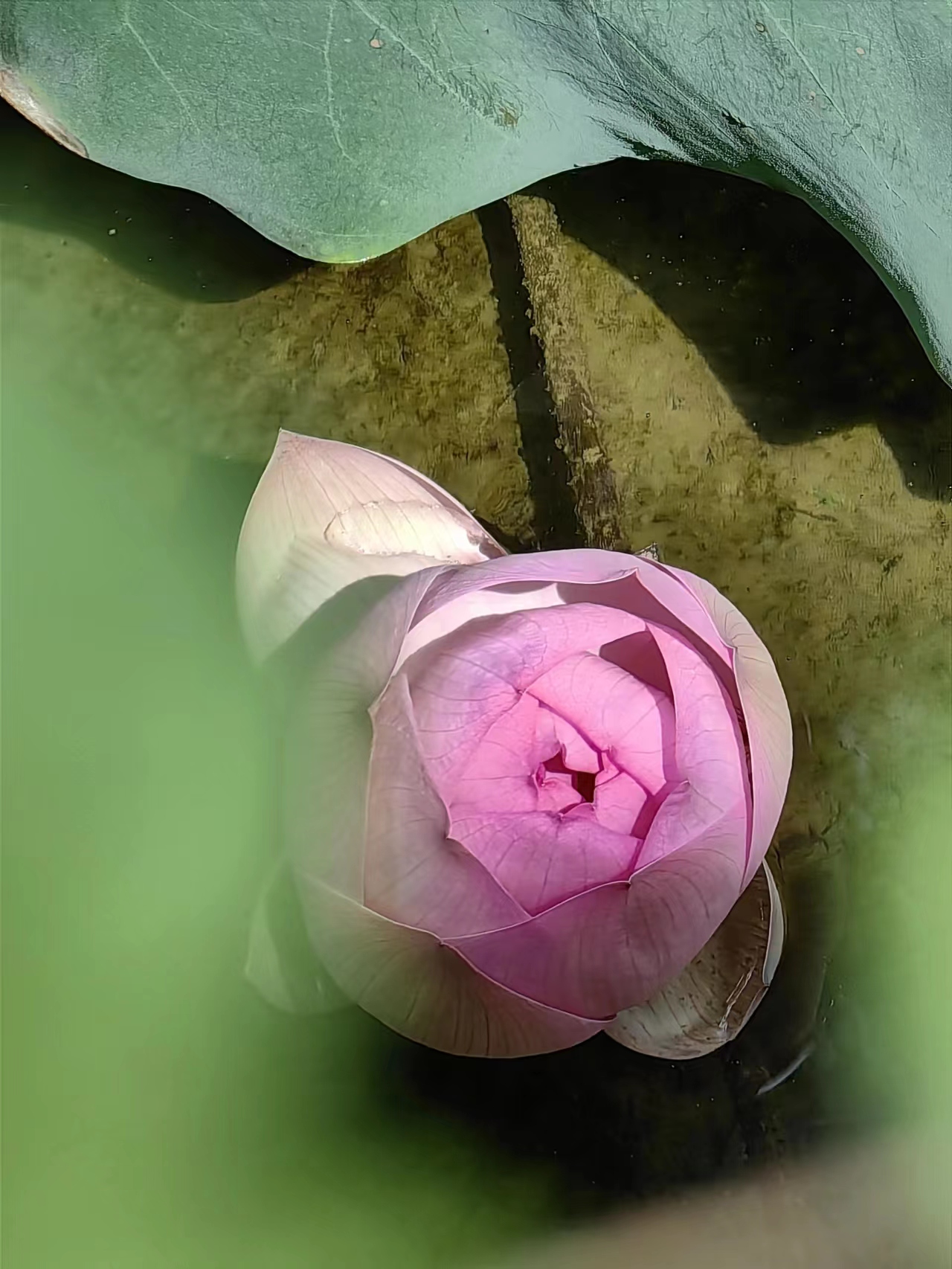 威廉希尔中文官网