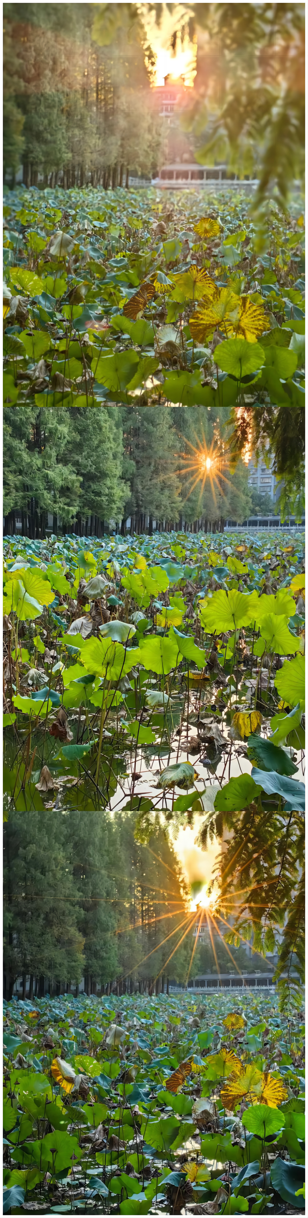 威廉希尔中文官网