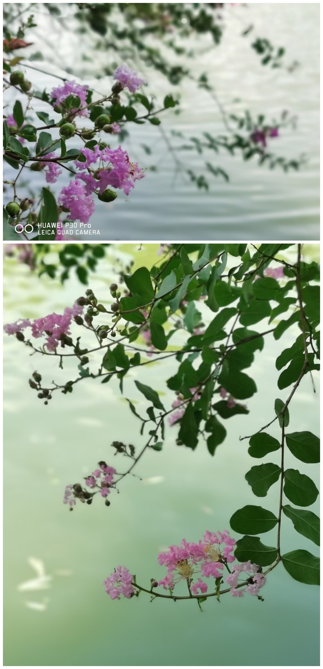 威廉希尔中文官网